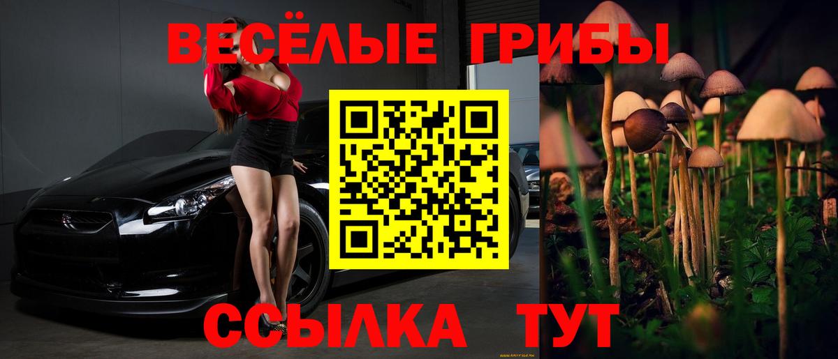 Галлюциногенные грибы Psilocybine cubensis  Галлюциногенные грибы Magic Shrooms  Конаково  Вход с VPN 